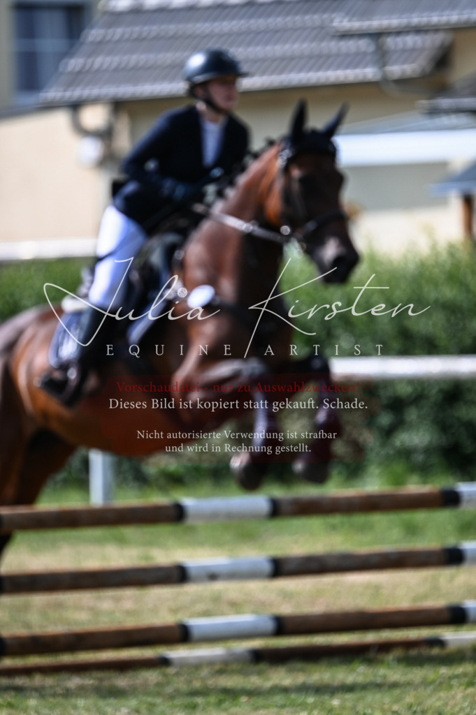 DSC_7867 | Pferde- und Turnierfotografie in Westsachsen. Pferdeportraits, Auftragszeichnungen und intuitive Kunst.