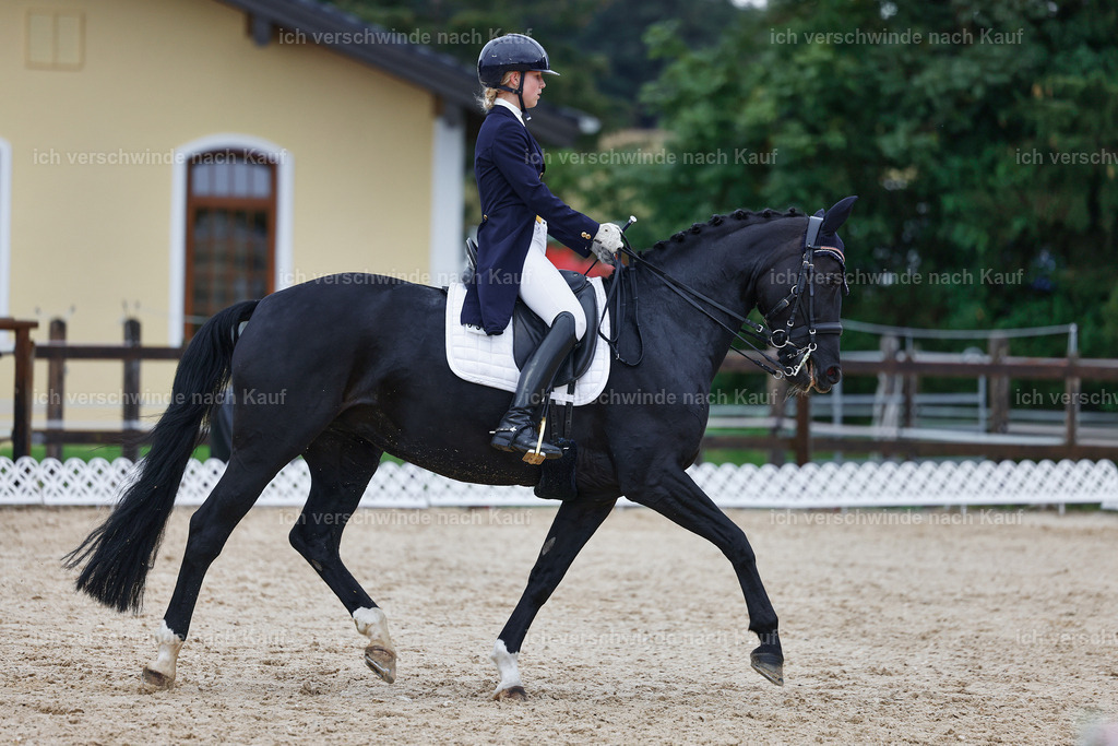 8_2-033-DRESSUR S_  -StoibPH-4400 | working equitationturnier fotograf videograf stoibphotography marixx film working equitation deutschland reitsport turnierfotografie eventfotografie equestrian events