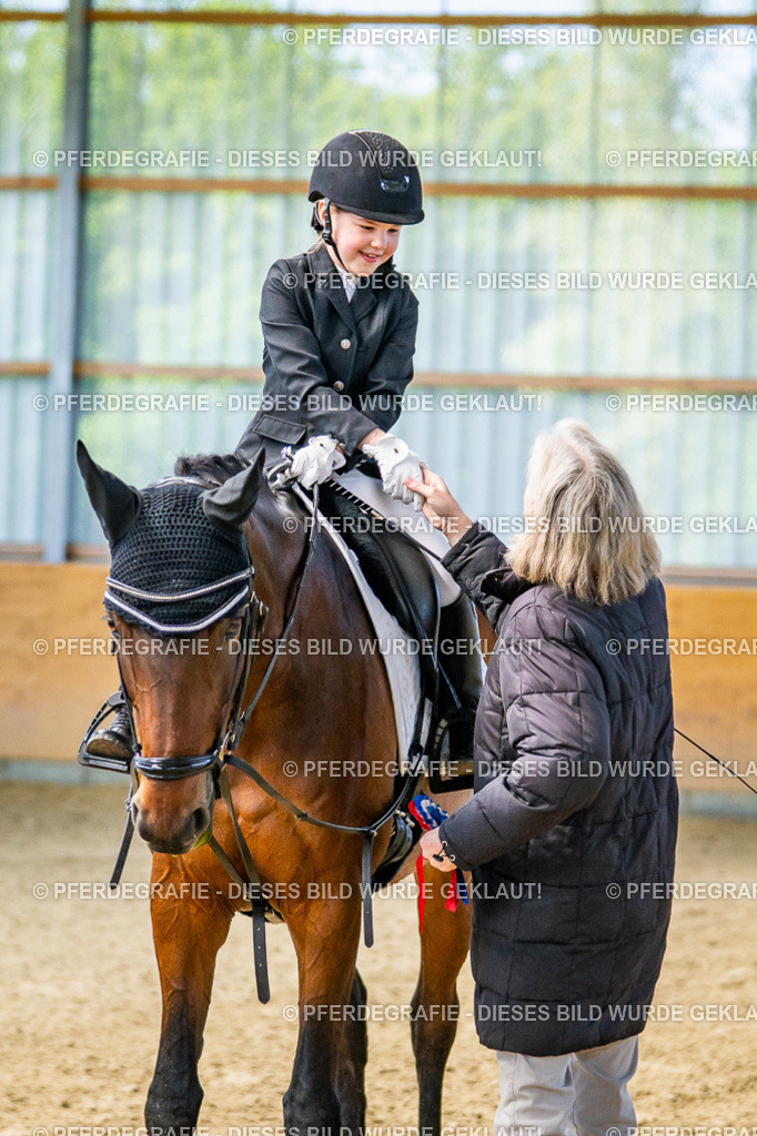 DSC02740 | Pferdegrafie