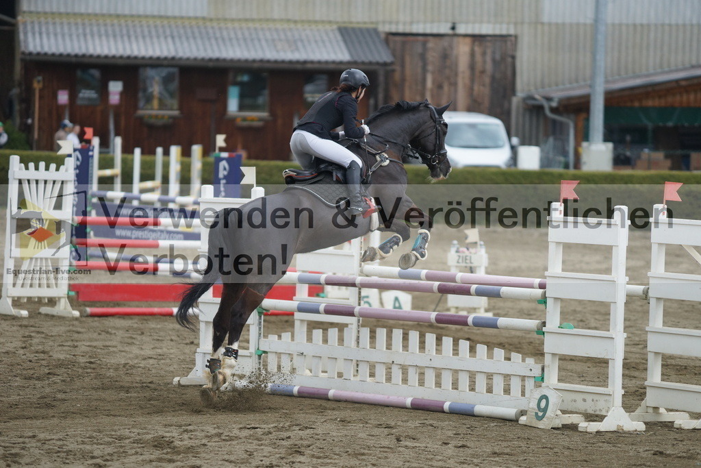 DSC01251 | equestrian-live-com