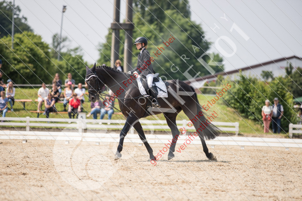 IMG_3905 | Sport-, Event- und Tierfotos in Profiqualität. Einfach auswählen, bestellen und herunterladen. Dein Moment – perfekt festgehalten.