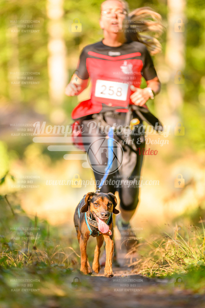 MompixPhotography_Yens2025_B3-69 | PayLife