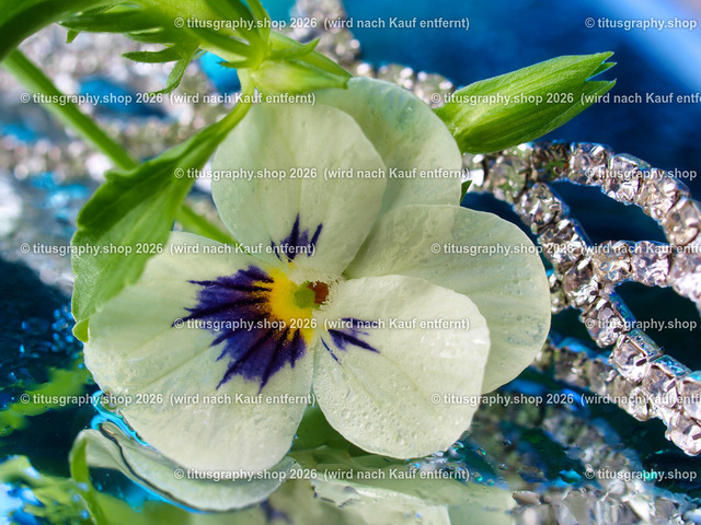 titusgraphy_P6298367-vz-ln | titusgraphy-shop: Geschenkideen mit Qualitätsfotos. titusgraphy-shop: gift ideas with quality photos. titusgraphy-shop: idées cadeaux avec photos de qualité.  - Realisiert mit Pictrs.com