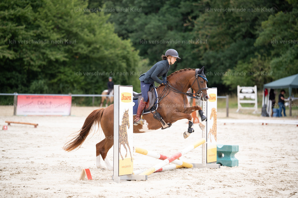 WL_ST_86_stoibphotography__SO10977 | working equitationturnier fotograf videograf stoibphotography marixx film working equitation deutschland reitsport turnierfotografie eventfotografie equestrian events