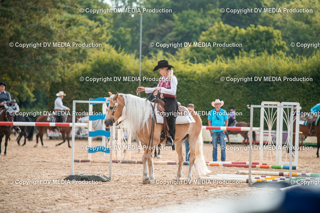 ZS2_7338 | dv-media-shop - Realisiert mit Pictrs.com