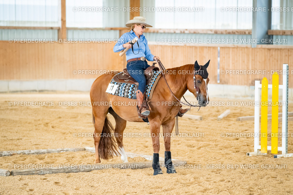 DSC07446 | Pferdegrafie