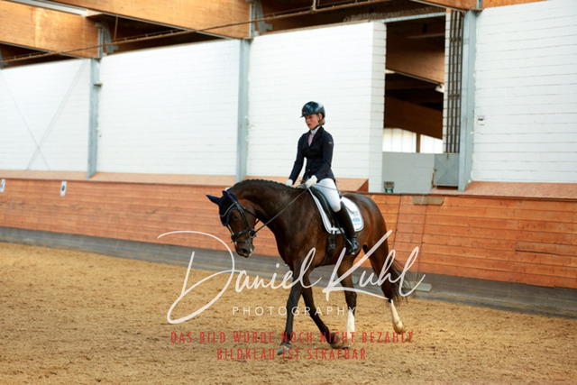 _62_4975 | Turniersportfotografie; Pferdefotografie; Dressurfotografie