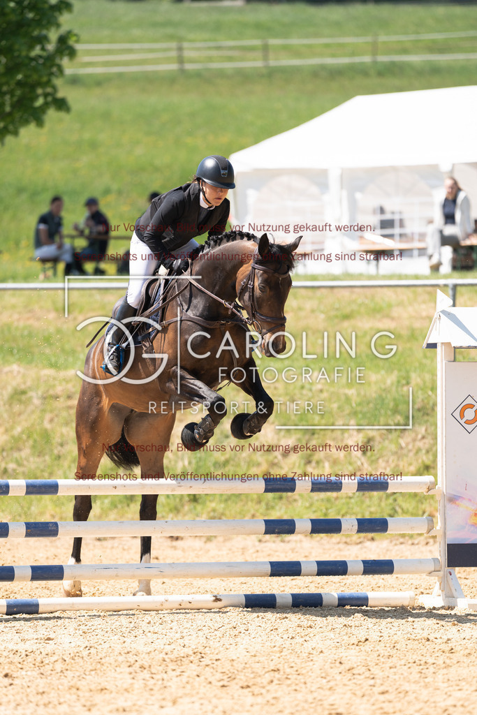 DSC04359 | Springturnier_Ehingen_Mai_2026, Carla_Valentina_Menig, Touch_of_Class_C