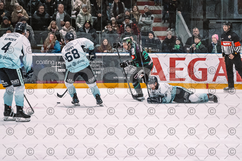Alligators_vs_Lindau_20_02_2026-16 | Höchstadt Alligators Fotogalerie: Eishockey-Action aus Franken. Professionelle Spielfotos, Portraits & Stadionbilder zum Download. Jetzt entdecken! - Realisiert mit Pictrs.com