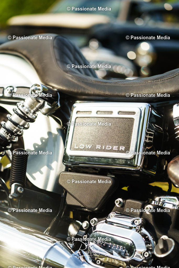 DSC08304 | Passionate Media, dein Fotograf aus Brandenburg, Märkisch Oderland, im Bereich Motorsport, Autos und Motorräder sowie Events und auch Hunde. Shootings oder auch Eventbegleitungen können bei mir gebucht we