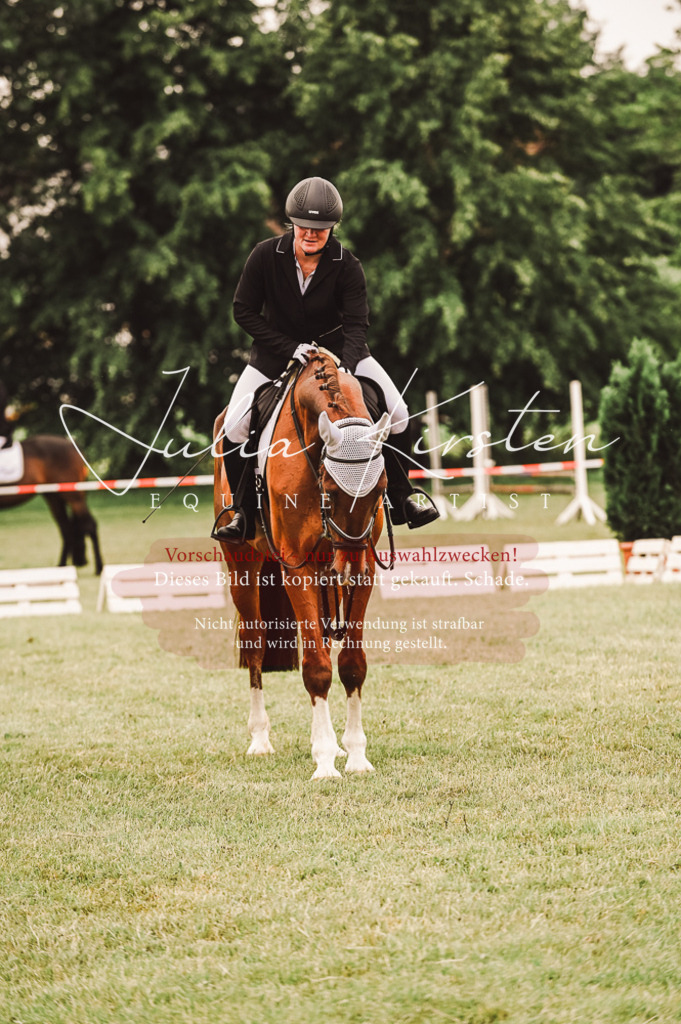 DSC_5139 | Pferde- und Turnierfotografie in Westsachsen. Pferdeportraits, Auftragszeichnungen und intuitive Kunst.
