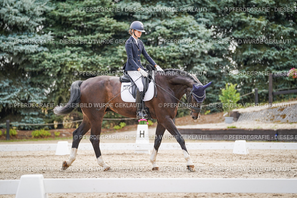 DSC01515 | Pferdegrafie