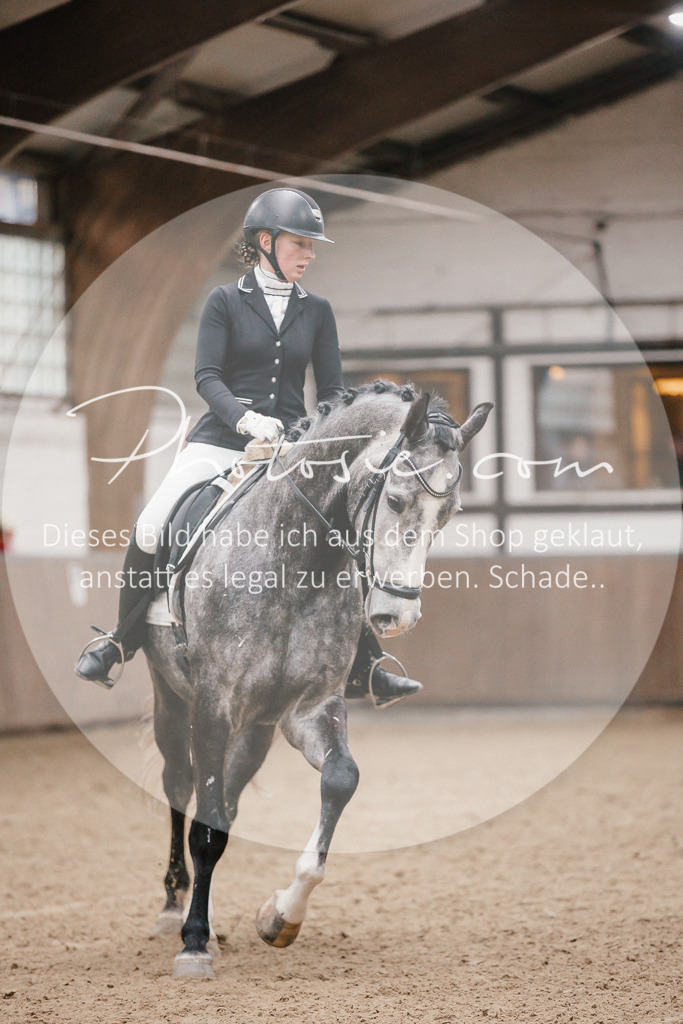 3I6A6072 | Stimmungsvolle Portraits und Reitsportfotografie im Ruhrgebiet und im Münsterland.

Pferdefotografie, Hundefotografie, Tierfotografie, Reportagen, Portraits von Tier und Mensch, Turnierfotografie in Bochum, Recklinghausen, Marl, Haltern am See, Dülmen.. - Realisiert mit Pictrs.com