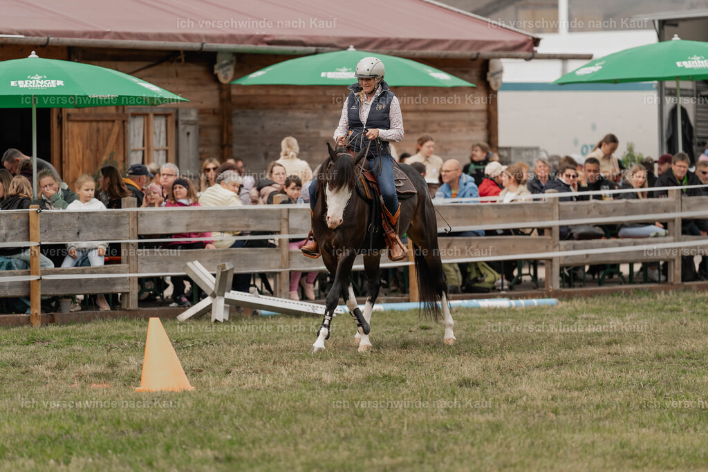 Showprogramm-94 | working equitationturnier fotograf videograf stoibphotography marixx film working equitation deutschland reitsport turnierfotografie eventfotografie equestrian events