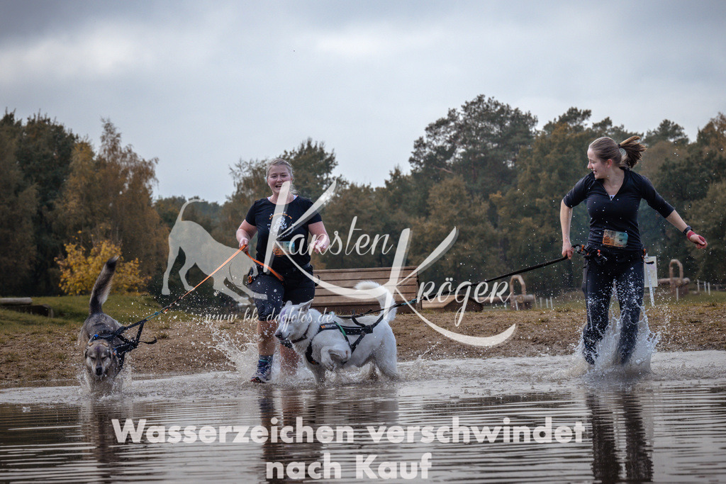 1339_ZZ94510 | kk-dogfotos