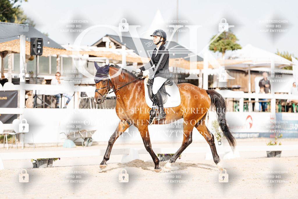 CK904103 | Turnierfotografie Pferdefotografie Trier Rheinland-Pfalz Pferdesport Reitsport Tierfotografie Sportfotografie Pferdevideo Pferdevideografie Equestrianvideography equestrianphotography  - Realisiert mit Pictrs.com