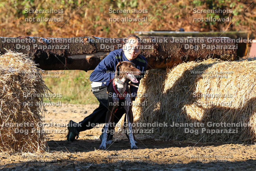 Dog Paparazzi - Strongdog 10-25-917 | Dog Paparazzi Jeanette Grottendiek Fotografie & Videografie - Realisiert mit Pictrs.com