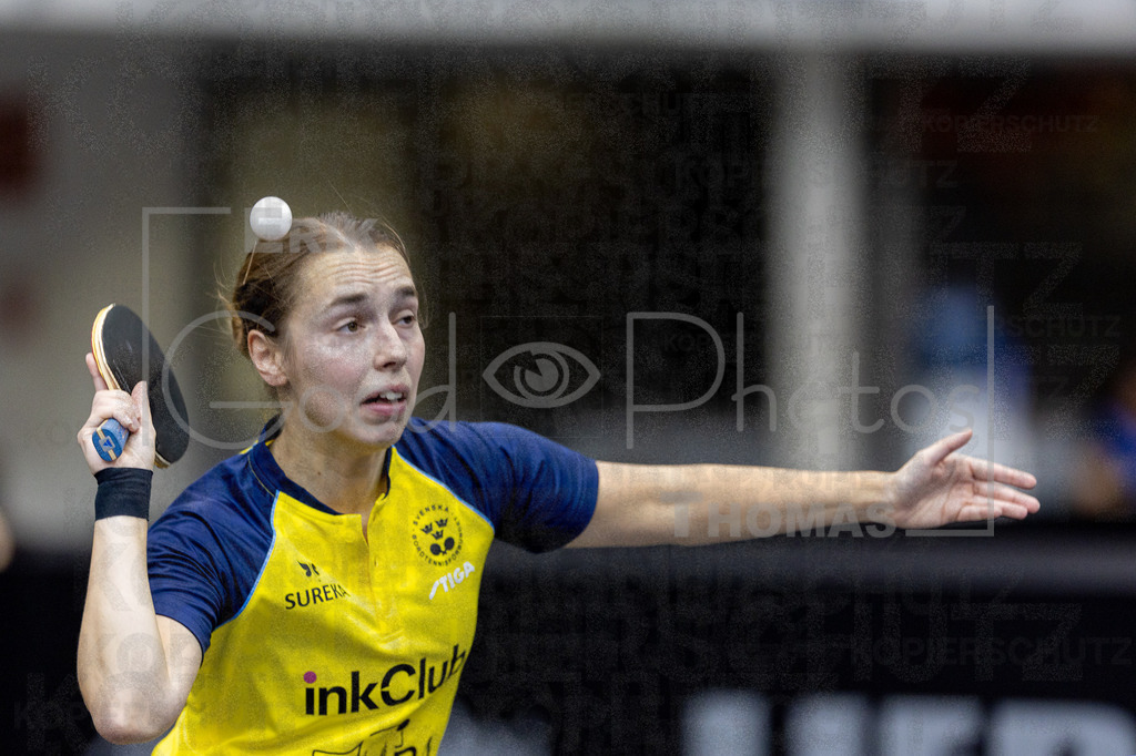 European_Championships_2024-10-17_145 | good-photos - Realisiert mit Pictrs.com