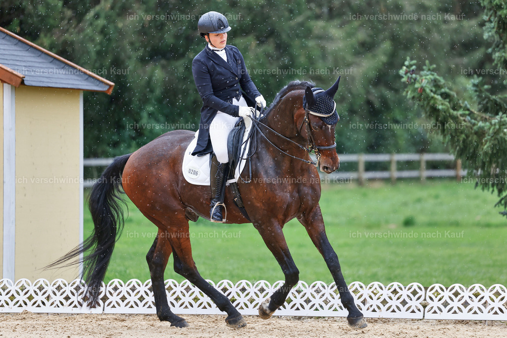 8_1-206-Klasse S_  -StoibPH-3915 | working equitationturnier fotograf videograf stoibphotography marixx film working equitation deutschland reitsport turnierfotografie eventfotografie equestrian events