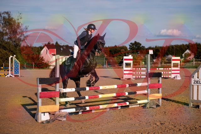 2026_10_03_Siefer-Hof_171517_Z81_12298368 | Professionelle Reitsport-, Turnier- und Eventfotografie von Robert Broda. Galerien mit ausgewählten und bearbeiteten Bildern direkt online ansehen und bestellen.