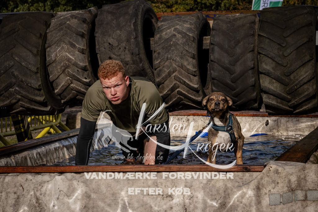 1342_ZZ92807 | kk-dogfotos