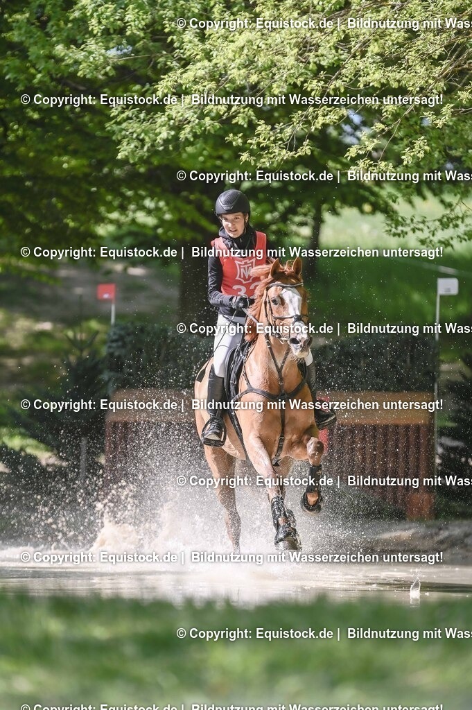 20250517_CCI2_Gelände_0865 | Foto: Thomas Hartig