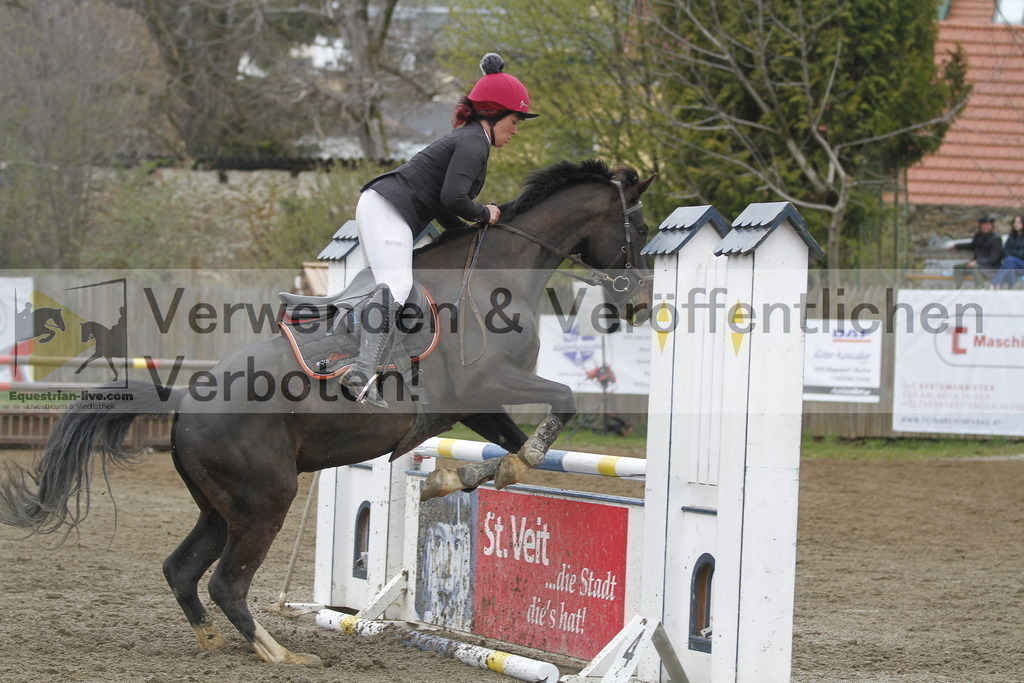 _MG_5085 | equestrian-live-com