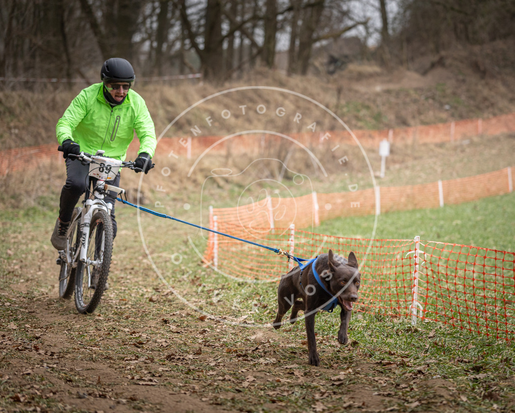 Pfotenfotografie_DV3A6302 | Hundefotografie, Tierfotograf, Pfotenfotografie, Fotoshooting Hund, Hunde Portrait, Hundesport, Hundeportraits, Heideshooting, Hunde, Sportfotograf, Hundefotograf, Turnierhundsport, THS,  - Realisiert mit Pictrs.com