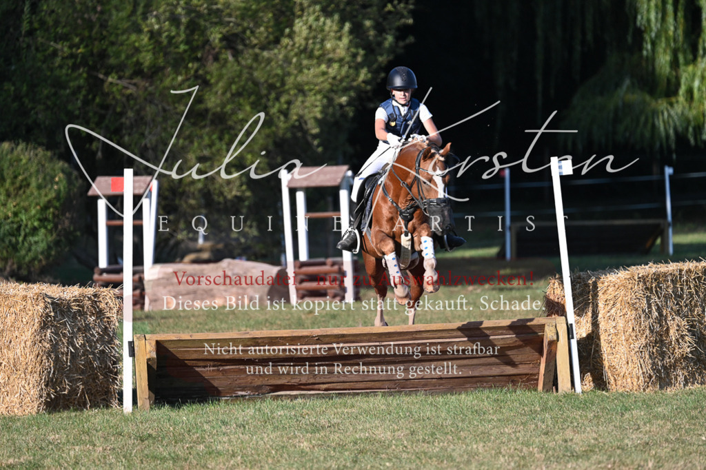 DSC_9079 | Pferde- und Turnierfotografie in Westsachsen. Pferdeportraits, Auftragszeichnungen und intuitive Kunst.