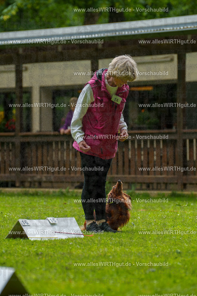 @allesWIRTHgut_Tierfotografie - www.allesWIRTHgut.de - 090951-7R506636 | Professionelle Tierfotografie in Mönchengladbach von Daniel Wirth (allesWIRTHgut). Liebevolle & natürliche Bilder von Hunden & Katzen für unvergessliche Erinnerungen.
