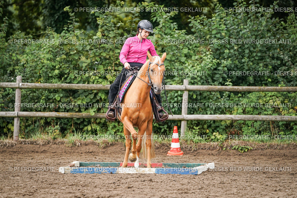 DSC03793 | Pferdegrafie