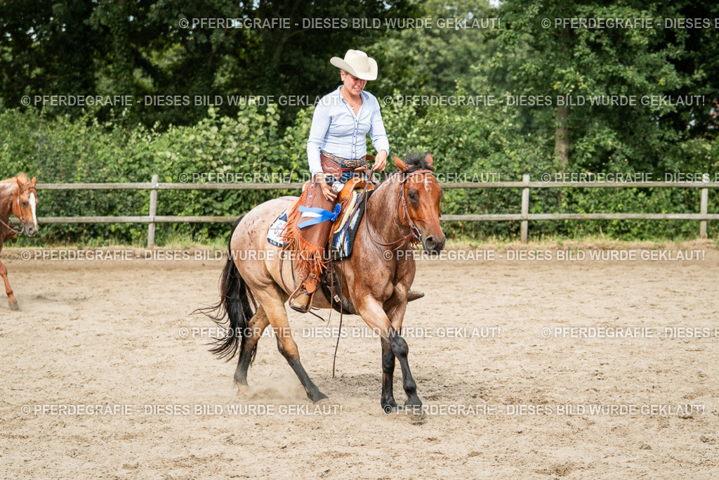 DSC04658 | Pferdegrafie