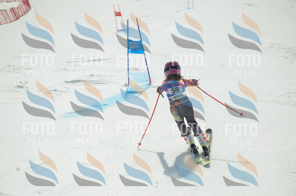 _ELE5291 | holidayphoto