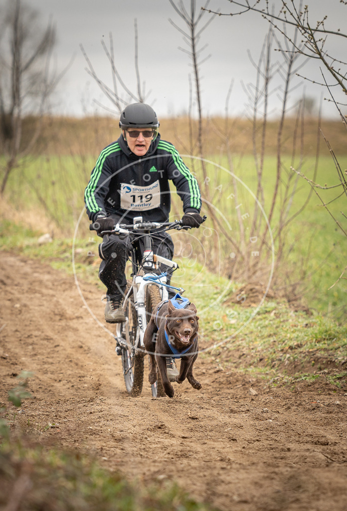 DV3A0889 | Hundefotografie, Tierfotograf, Pfotenfotografie, Fotoshooting Hund, Hunde Portrait, Hundesport, Hundeportraits, Heideshooting, Hunde, Sportfotograf, Hundefotograf, Turnierhundsport, THS,  - Realisiert mit Pictrs.com