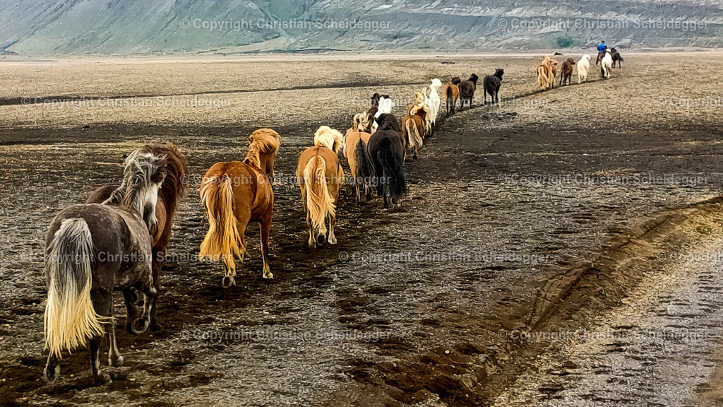 2022-07-08 19.00.40-1 | Entdecke hochwertige Fine Art Prints und Fotografien vom professionellen Fotografen aus Luzern. Jedes Motiv wird mit Liebe zum Detail aufgenommen, sorgfältig bearbeitet und in bester Qualität gedruckt – perfekt für Wohnräume, Büros oder als besonderes Ges - Realisiert mit Pictrs.com