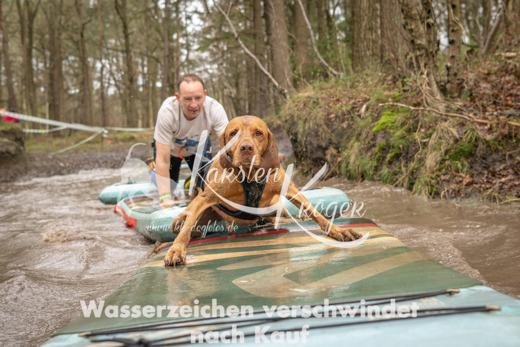 1013_ZZ93113 | kk-dogfotos
