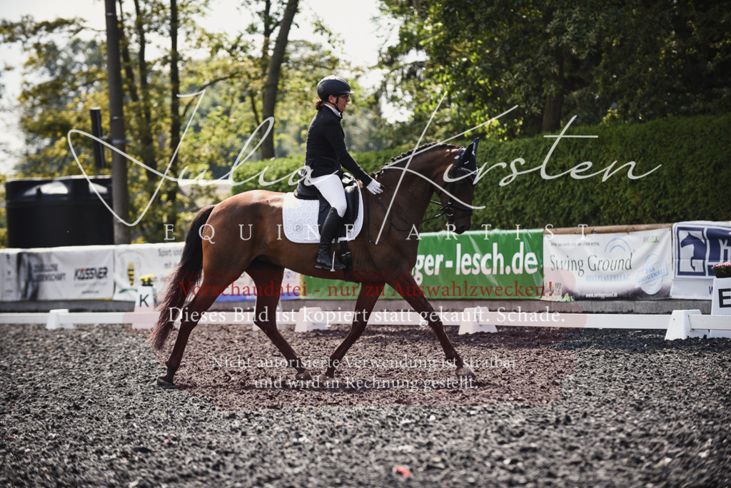 DSC_4103 | Pferde- und Turnierfotografie in Westsachsen. Pferdeportraits, Auftragszeichnungen und intuitive Kunst.