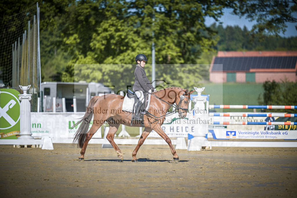 DOS_3331 | Entdecke hochwertige Reitturnierfotos von Foto Oger. Professionell, emotional und authentisch – jetzt Lieblingsmomente im Shop bestellen.Deutschlandweite Turnierfotografie. - Realisiert mit Pictrs.com