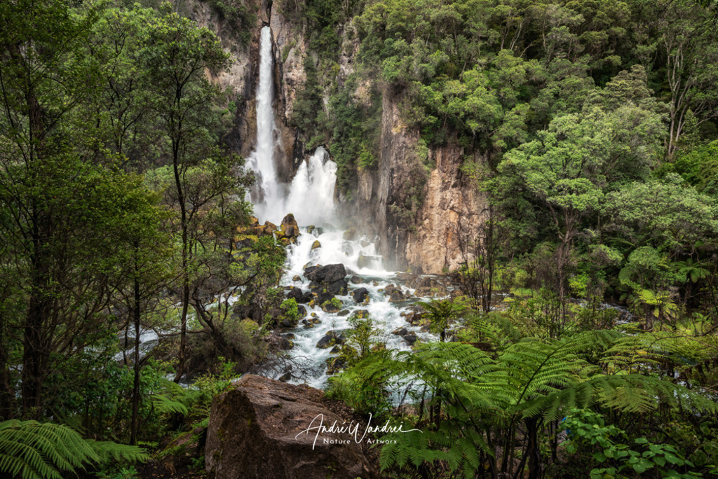 In den Dschungel | Andre Wandrei - Nature Artworx - Realisiert mit Pictrs.com