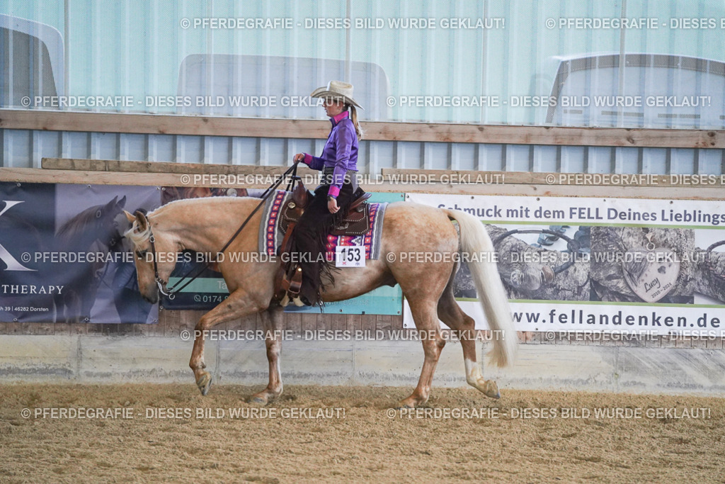 DSC08974 | Pferdegrafie