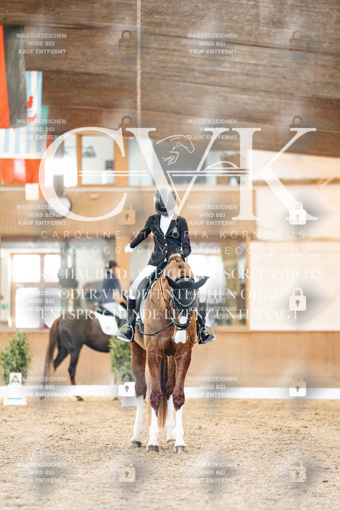 CK906668 | Turnierfotografie Pferdefotografie Trier Rheinland-Pfalz Pferdesport Reitsport Tierfotografie Sportfotografie Pferdevideo Pferdevideografie Equestrianvideography equestrianphotography  - Realisiert mit Pictrs.com
