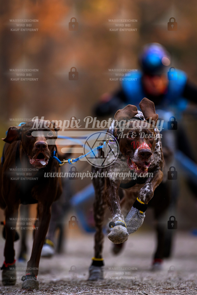 MompixPhotography_DM_AKDM_SO_2025_Wagen-46 | PayLife