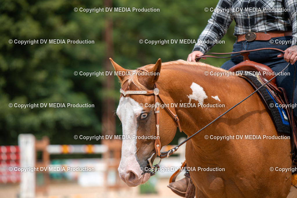 ZS2_8195 | dv-media-shop - Realisiert mit Pictrs.com