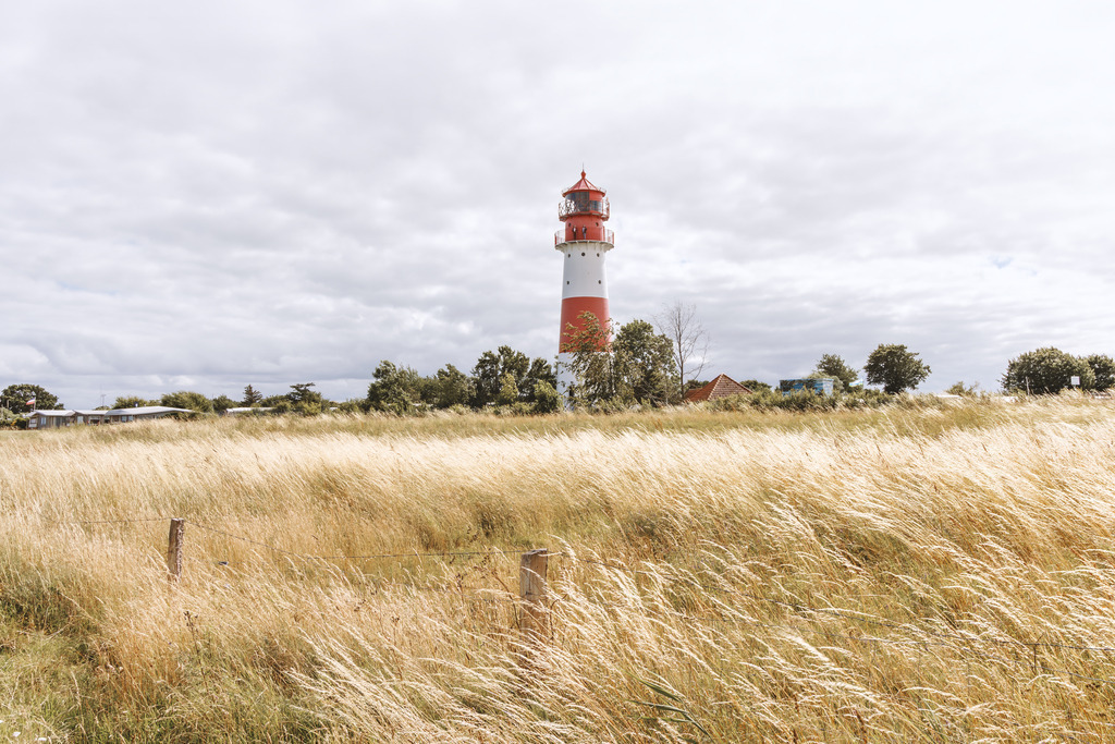 Wandbild: Leuchtturm Falshöft - Goldenes Gras und Küstenweitblick | Dieses atmosphärische Wandbild fängt den charakteristischen Charme von Falshöft ein. Im Vordergrund wiegen sich die goldenen Gräser hinter einem rustikalen Weidezaun im Wind, während der rot-weiße Leuchtturm erhaben über der flachen Küstenlandschaft thront. Die natürlichen Farbnuancen und der weite, lebhafte Himmel strahlen eine tiefe Ruhe und Verbundenheit mit der Natur aus – eine stilvolle Bereicherung für anspruchsvolle Wohnräume.