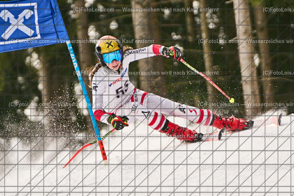 ALP7668_SkiBezirksMeisterschaft_Hollenstein_Sonnleitner Valentina | (C)FotoLois.com, Alois Spandl, SkiBezirksMeisterschaft NÖ-West und Bambini/Kindercup-RTL, SC Hollenstein am Königsberg, Sa 11. Feb. 2023.