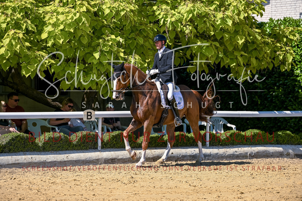 Schugtsche-Aluta25-50.Dressurpferdeprf.L-17 | Schugtsche Fotografie - Realisiert mit Pictrs.com