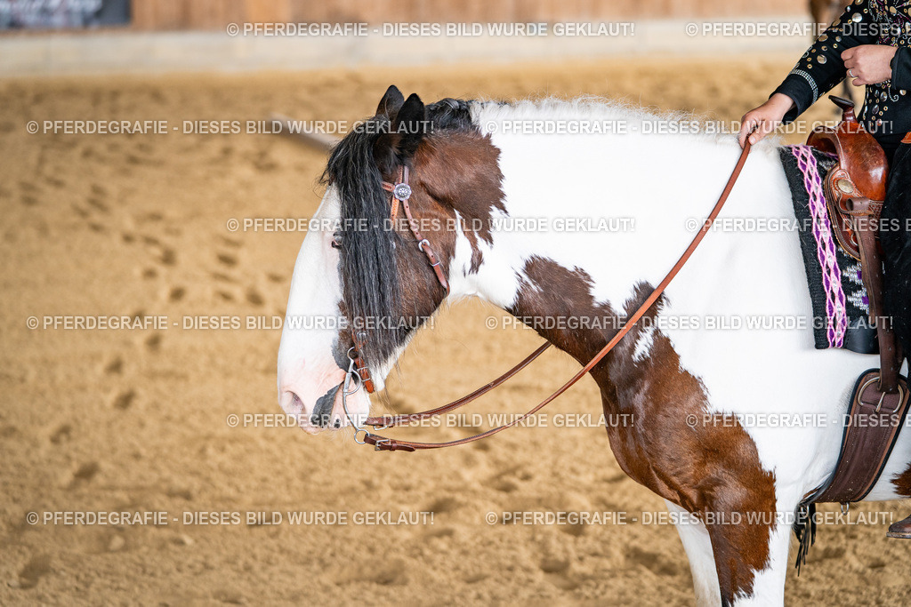 DSC02138 | Pferdegrafie