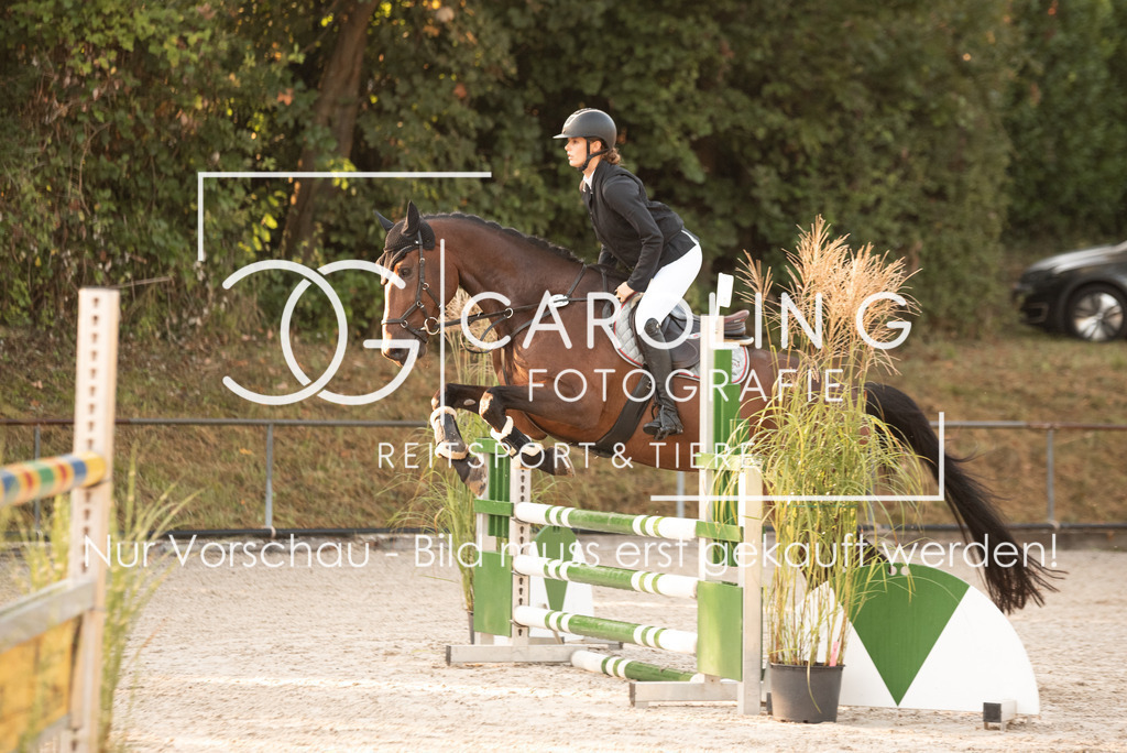 DSC_6241 | Turnierfotografin Carolin Gieschke, Turnierfotografie Carolin G Fotografie, Turnierfotos Kirchheim/Teck, Esslingen, Stuttgart, Bodenseekreis