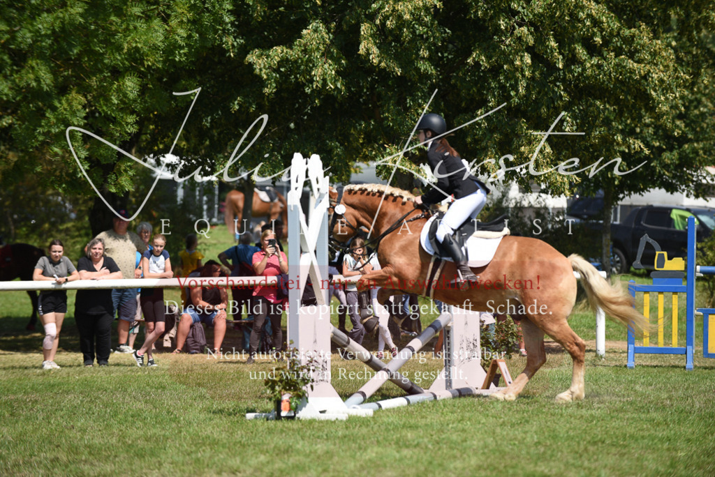 DSC_9946 | Pferde- und Turnierfotografie in Westsachsen. Pferdeportraits, Auftragszeichnungen und intuitive Kunst.