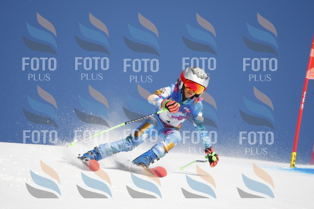 _W1G0004 | holidayphoto